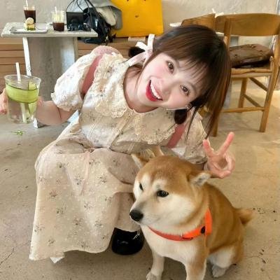 我家的执事如是说